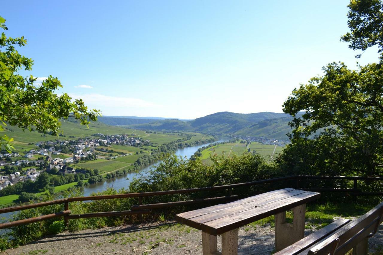Gaestehaus Weingut Mathy-Schanz Osann-Monzel Exterior foto
