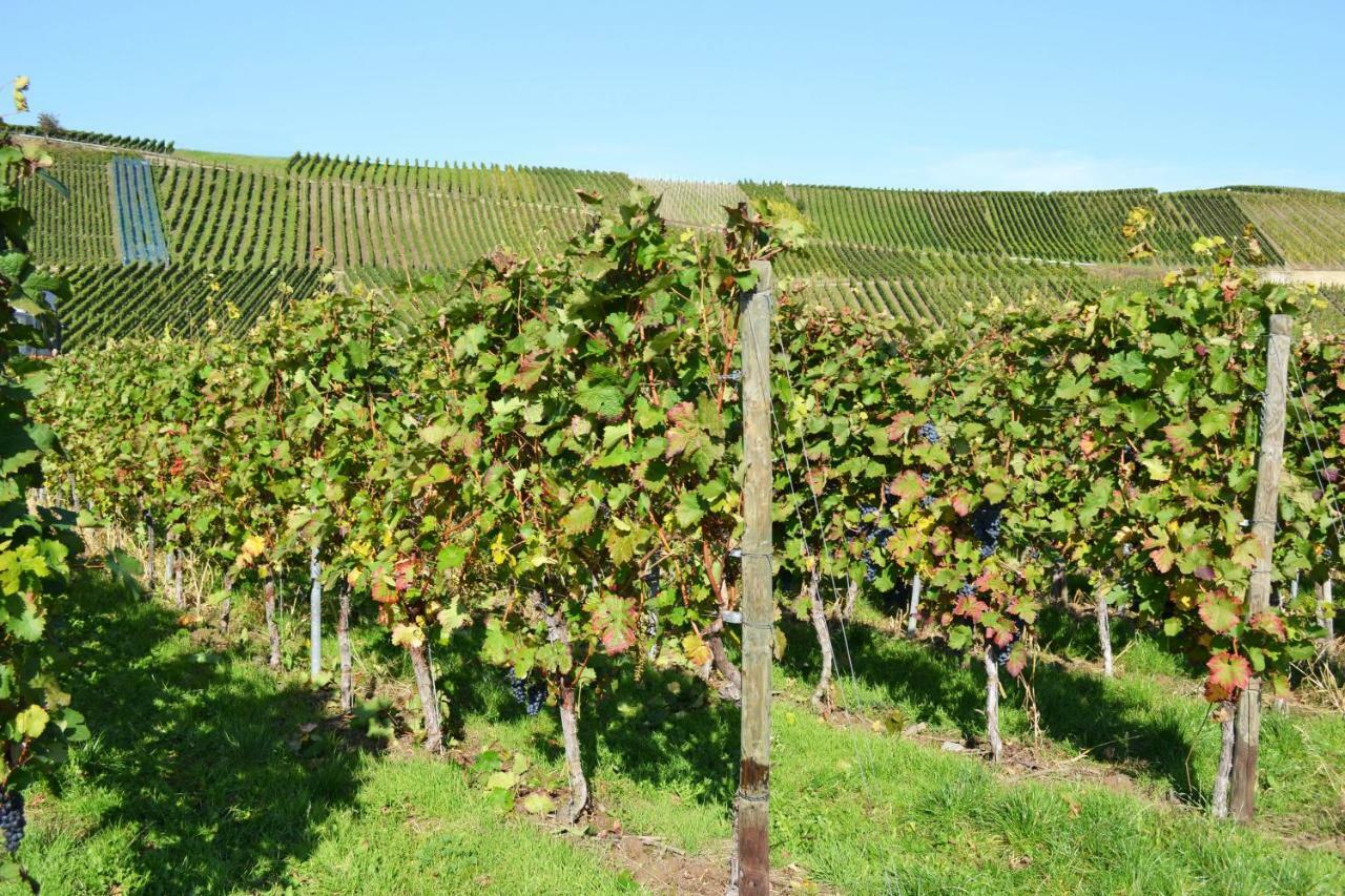 Gaestehaus Weingut Mathy-Schanz Osann-Monzel Exterior foto